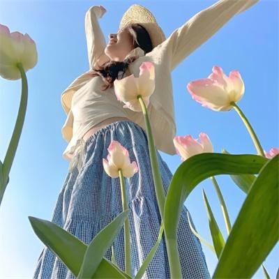 谍海龙虎会